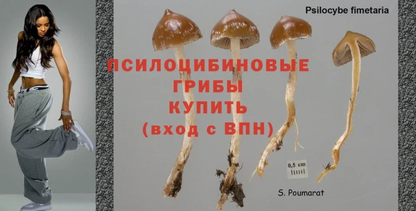 mdpv Волосово