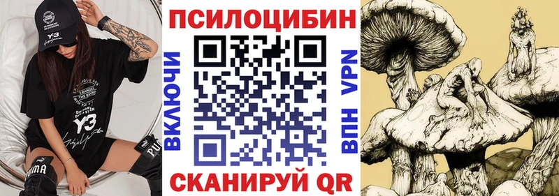 купить наркоту  Ноябрьск  Псилоцибиновые грибы прущие грибы 