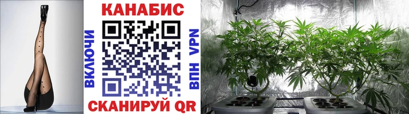 Шишки марихуана ГИДРОПОН  сколько стоит  Ноябрьск 